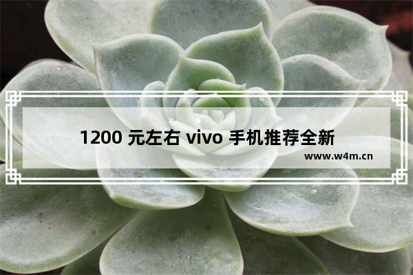 1200 元左右 vivo 手机推荐全新机 性价比超高！