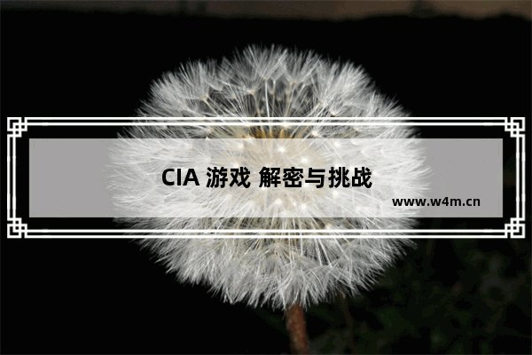 CIA 游戏 解密与挑战