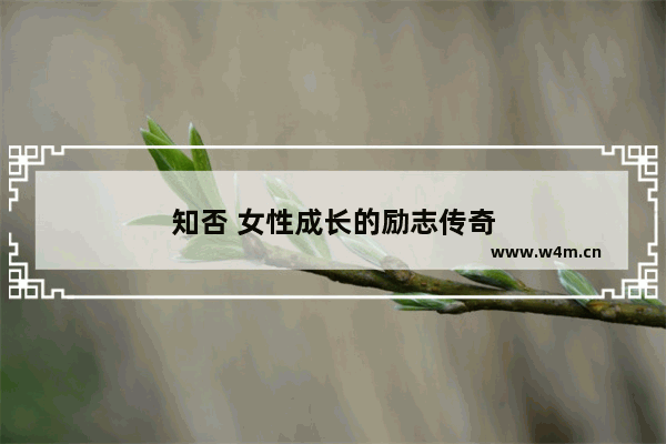 知否 女性成长的励志传奇