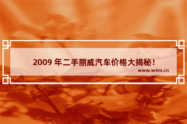 2009 年二手丽威汽车价格大揭秘！