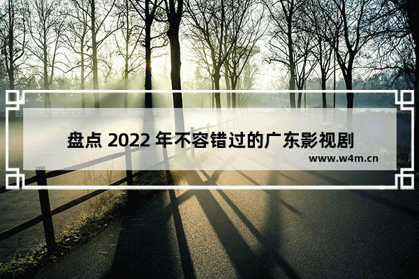 盘点 2022 年不容错过的广东影视剧