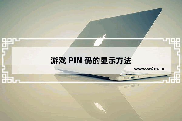 游戏 PIN 码的显示方法