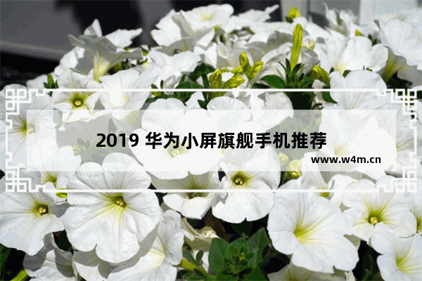 2019 华为小屏旗舰手机推荐