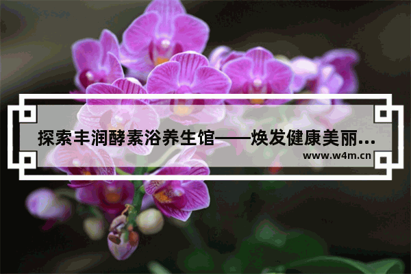 探索丰润酵素浴养生馆——焕发健康美丽的新起点