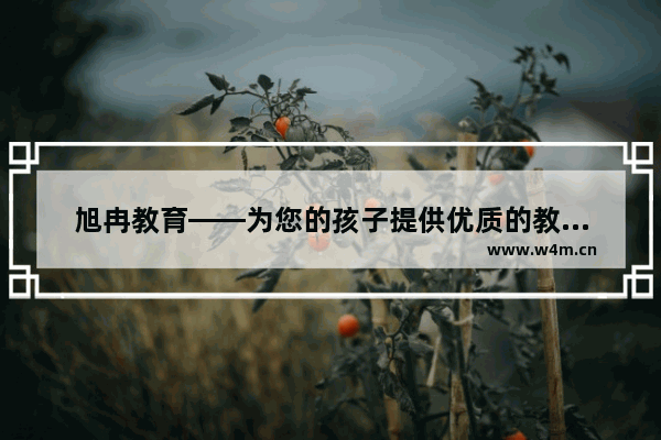 旭冉教育——为您的孩子提供优质的教育服务