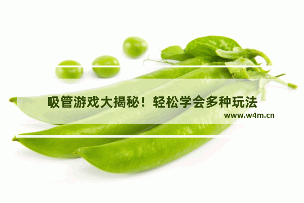 吸管游戏大揭秘！轻松学会多种玩法