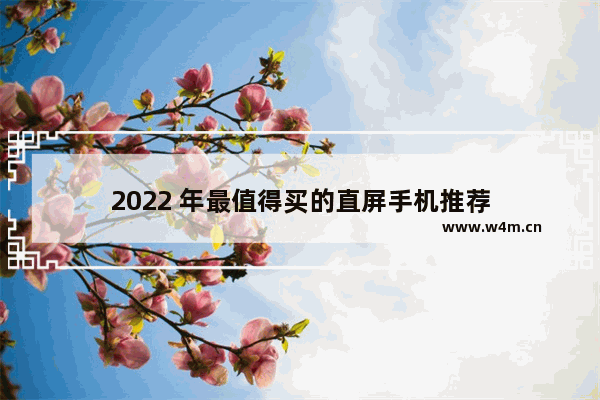 2022 年最值得买的直屏手机推荐