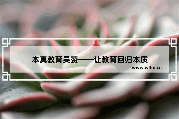 本真教育吴赞——让教育回归本质