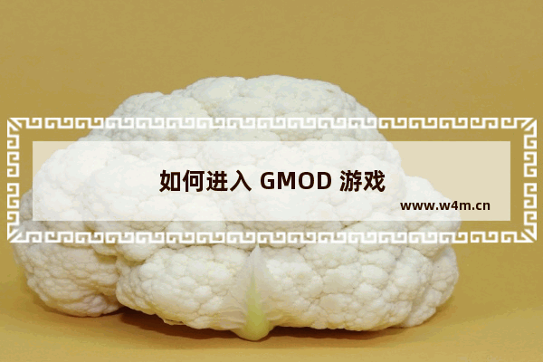 如何进入 GMOD 游戏