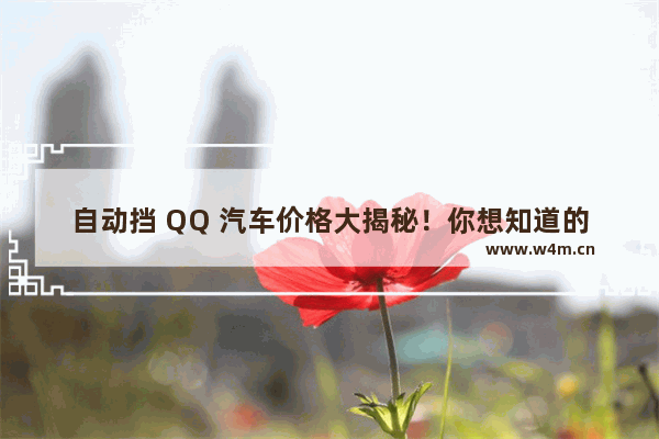 自动挡 QQ 汽车价格大揭秘！你想知道的都在这里！