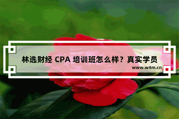 林选财经 CPA 培训班怎么样？真实学员评价大揭秘！