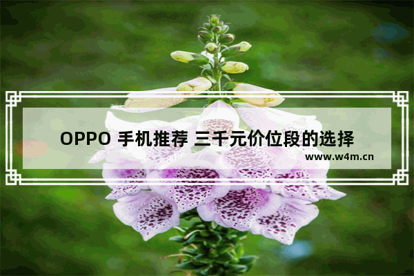 OPPO 手机推荐 三千元价位段的选择