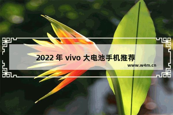 2022 年 vivo 大电池手机推荐 让你告别电量焦虑