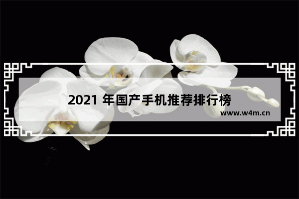 2021 年国产手机推荐排行榜