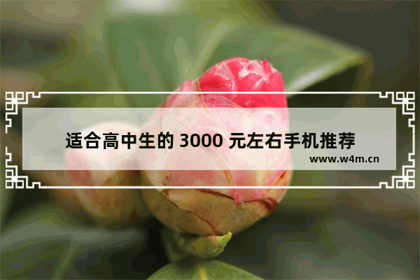 适合高中生的 3000 元左右手机推荐