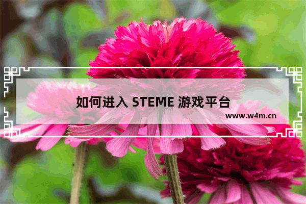 如何进入 STEME 游戏平台