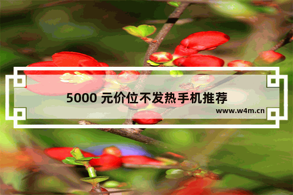 5000 元价位不发热手机推荐