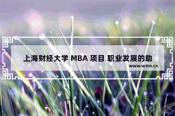 上海财经大学 MBA 项目 职业发展的助推器