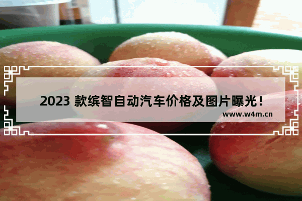 2023 款缤智自动汽车价格及图片曝光！