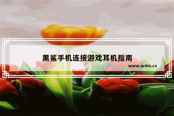 黑鲨手机连接游戏耳机指南