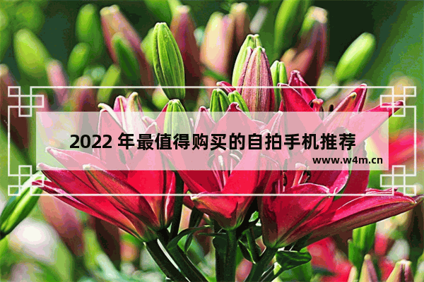 2022 年最值得购买的自拍手机推荐