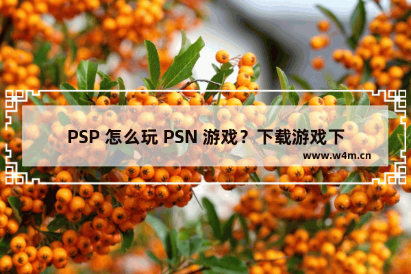 PSP 怎么玩 PSN 游戏？下载游戏下载游戏