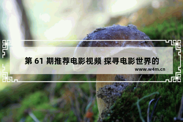 第 61 期推荐电影视频 探寻电影世界的奇幻与感动