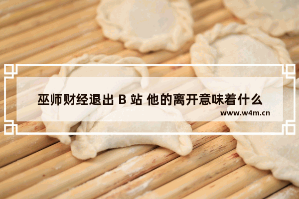 巫师财经退出 B 站 他的离开意味着什么？