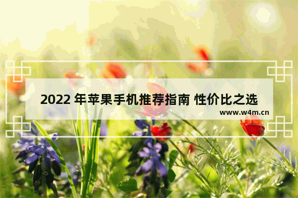 2022 年苹果手机推荐指南 性价比之选