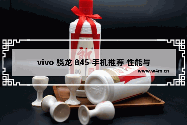 vivo 骁龙 845 手机推荐 性能与设计的完美结合