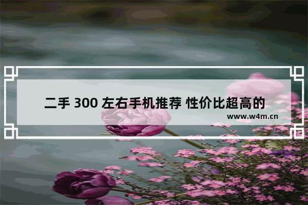 二手 300 左右手机推荐 性价比超高的选择！