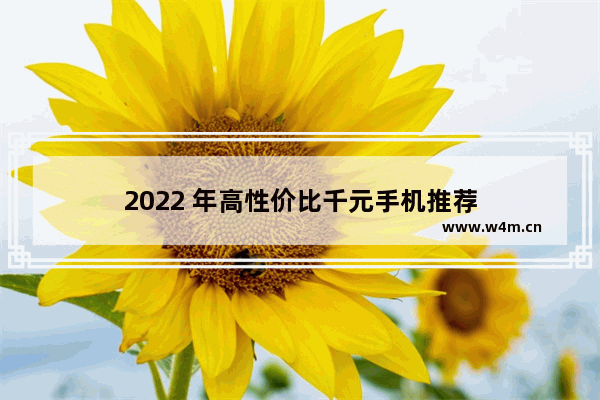 2022 年高性价比千元手机推荐