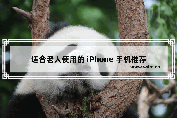 适合老人使用的 iPhone 手机推荐