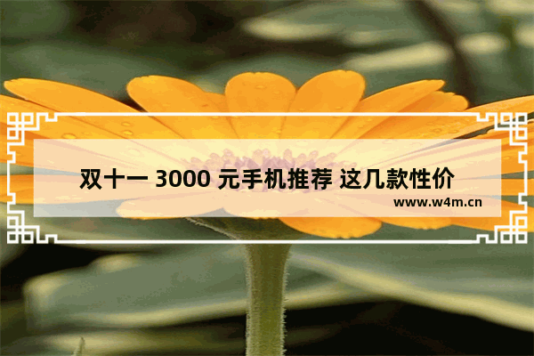 双十一 3000 元手机推荐 这几款性价比超高！