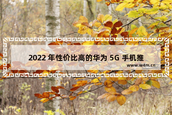 2022 年性价比高的华为 5G 手机推荐