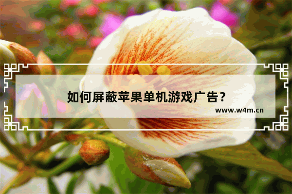 如何屏蔽苹果单机游戏广告？