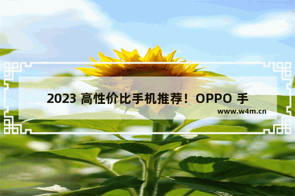 2023 高性价比手机推荐！OPPO 手机 你的不二之选