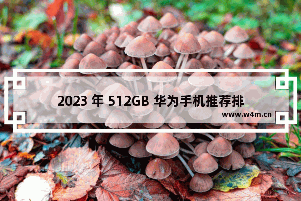 2023 年 512GB 华为手机推荐排行榜