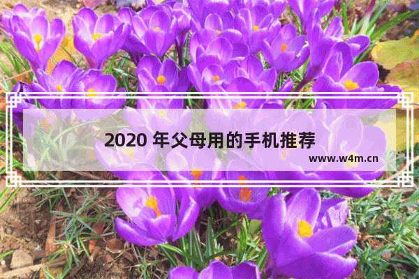 2020 年父母用的手机推荐