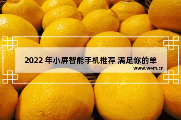 2022 年小屏智能手机推荐 满足你的单手掌控需求