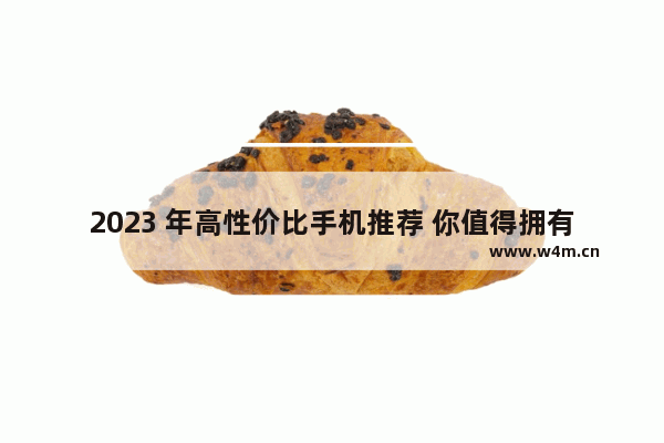 2023 年高性价比手机推荐 你值得拥有！