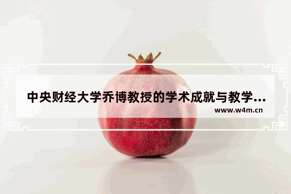 中央财经大学乔博教授的学术成就与教学方法