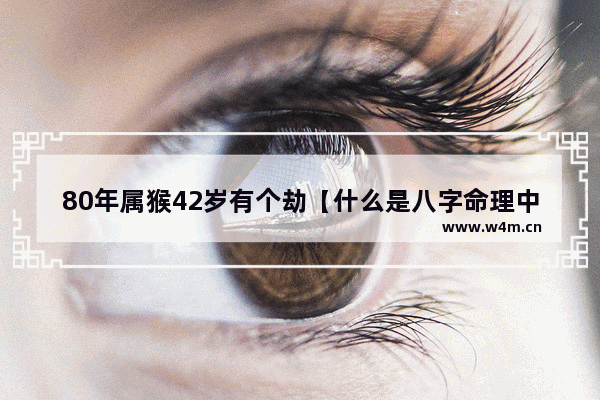 80年属猴42岁有个劫【什么是八字命理中的生肖和属相】