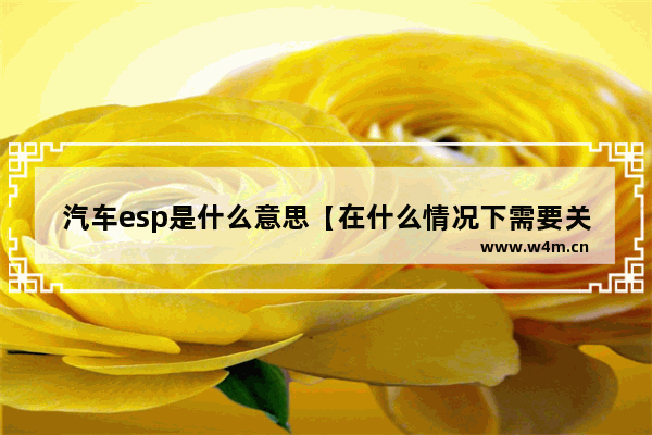 汽车esp是什么意思【在什么情况下需要关闭esp】