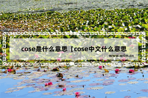 cose是什么意思【cose中文什么意思】