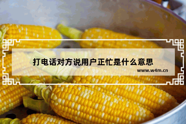 打电话对方说用户正忙是什么意思