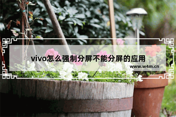 vivo怎么强制分屏不能分屏的应用