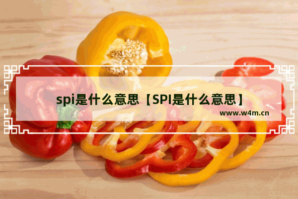 spi是什么意思【SPI是什么意思】