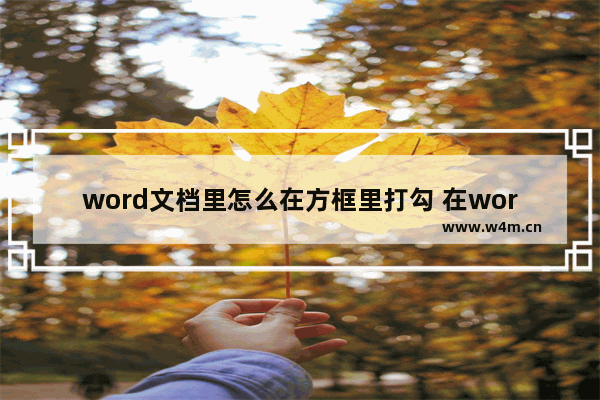 word文档里怎么在方框里打勾 在word方框打钩符号的方法