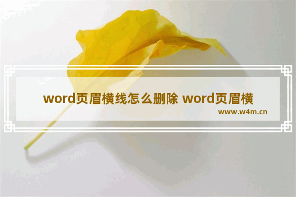 word页眉横线怎么删除 word页眉横线去除方法